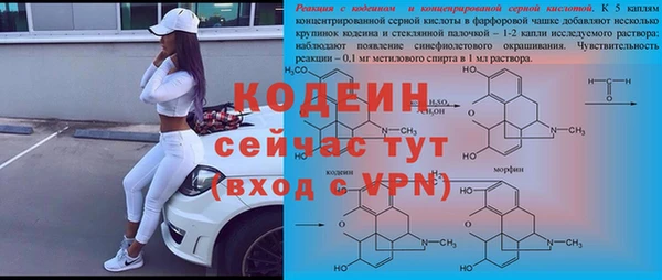 мдпв Сафоново