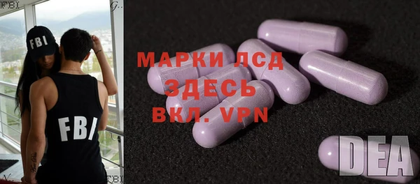 гашик Алексин