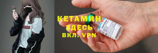 гашик Алексин