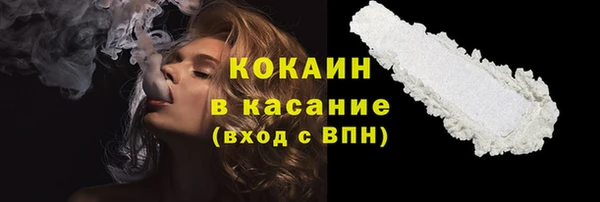 гашик Алексин