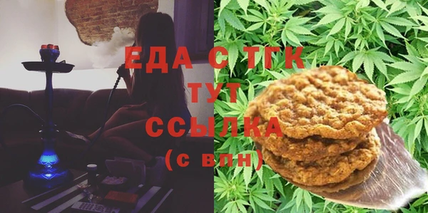 гашик Алексин