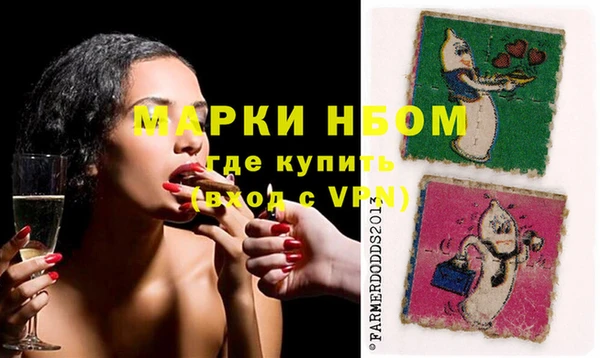 гашик Алексин