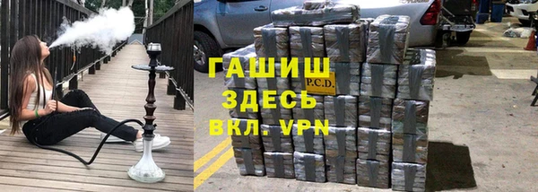 гашик Алексин