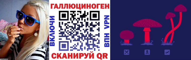 Галлюциногенные грибы Psilocybine cubensis  Нестеров 